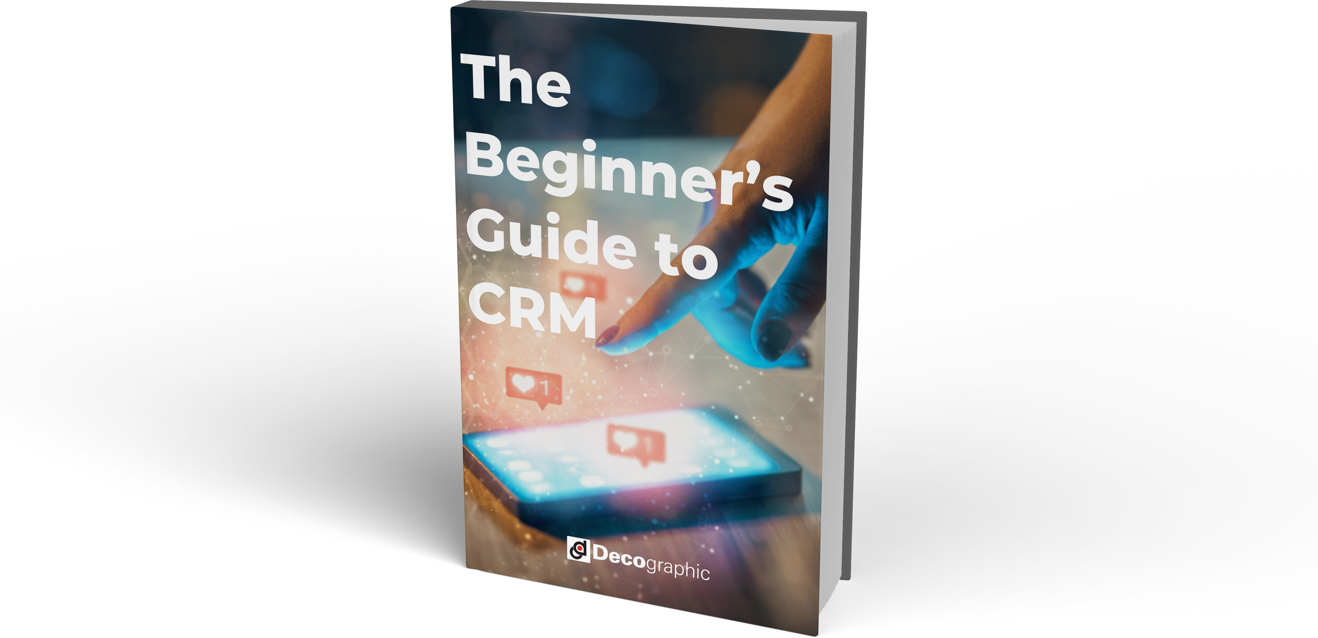 The Beginners Guide to CRM (2)